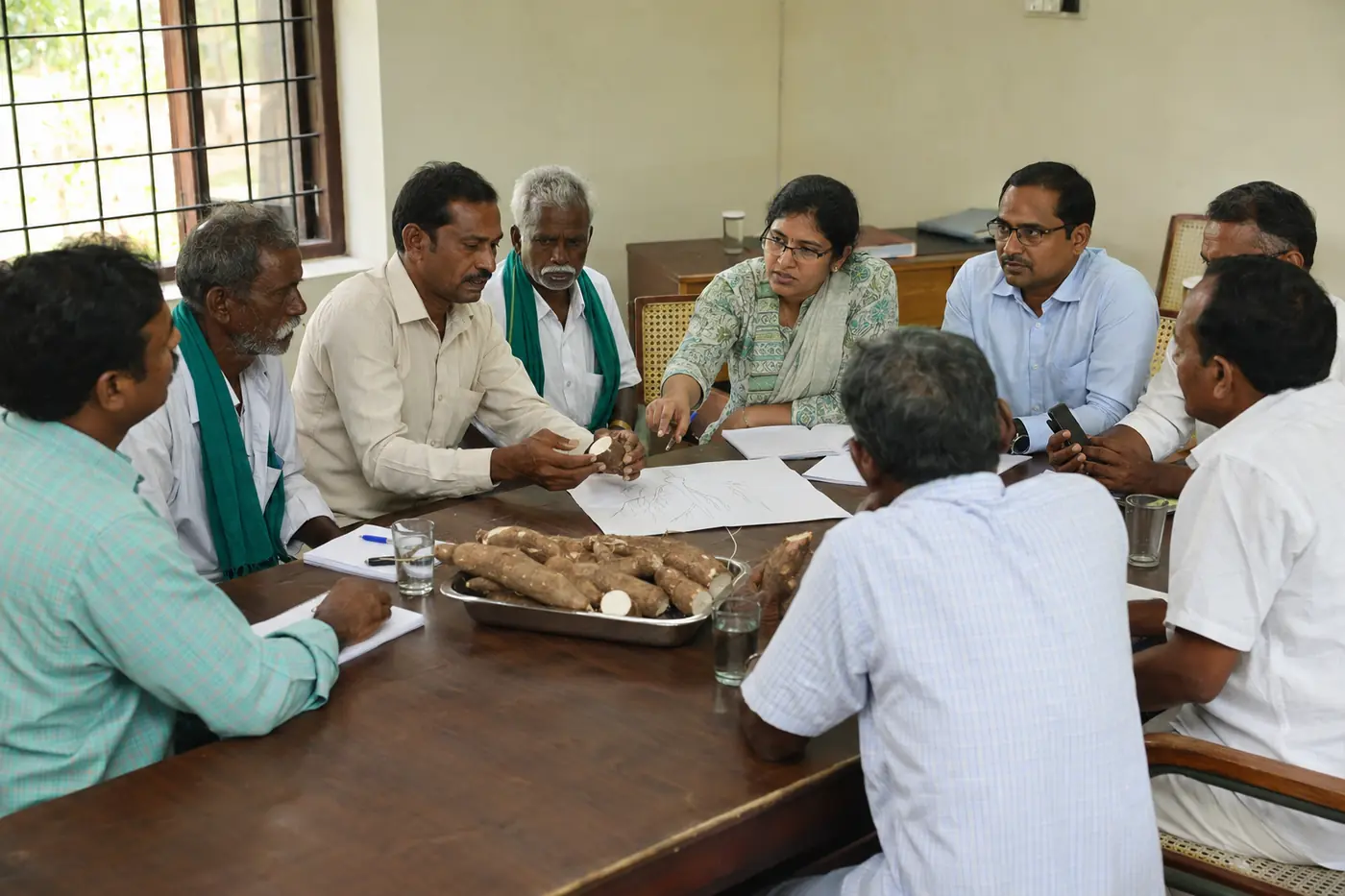 Professional farmer, industry and research consultation